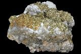 Pyrite On Calcite - El Hammam Mine, Morocco #80725-3